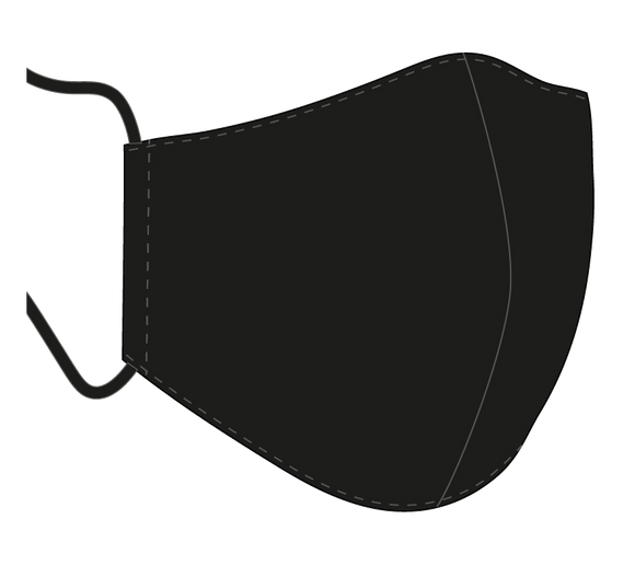 BNS ansiktsmasker, ERGO