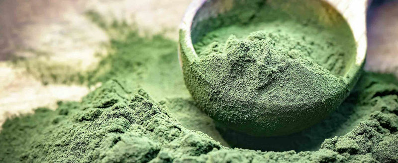 Minty Chlorella