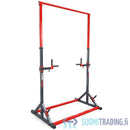 Chin Up/Tricep Dip Stand