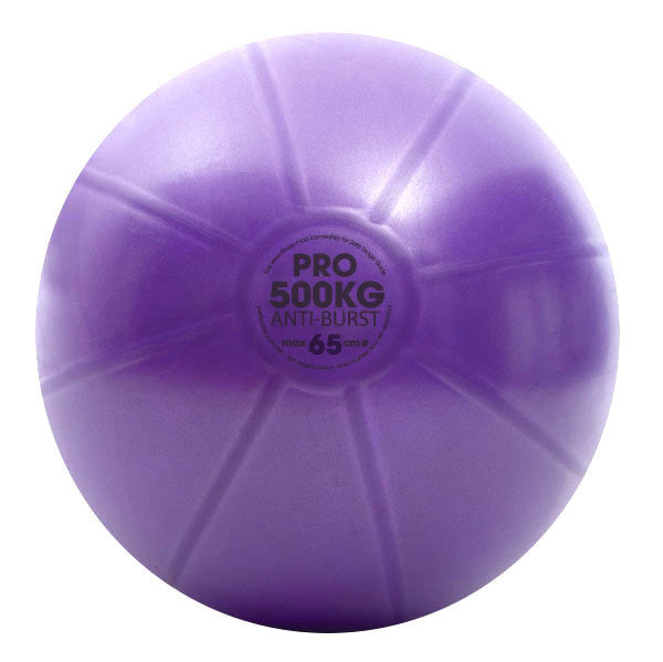 Studio Pro 500 kg Swiss Ball & Pump, 65 cm