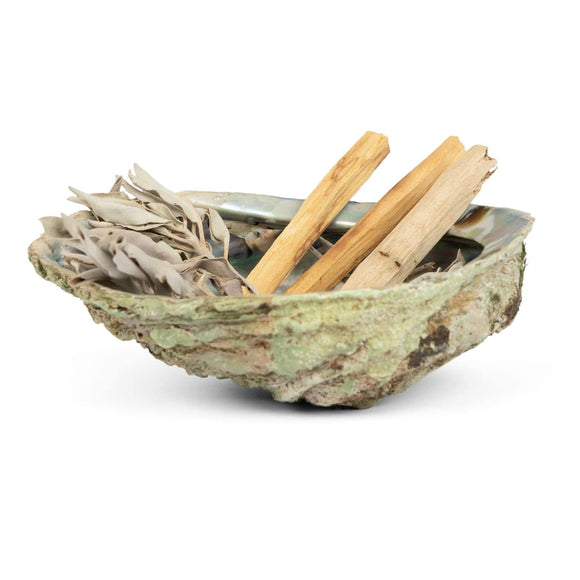 Palo Santo & White Sage med Abalone Shell