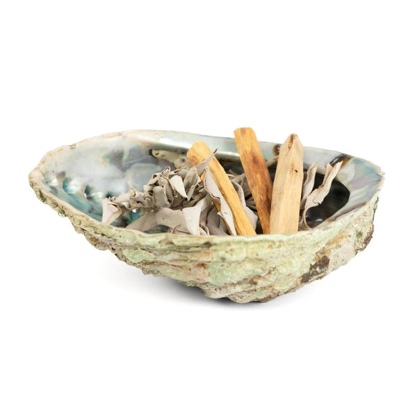 Palo Santo & White Sage med Abalone Shell